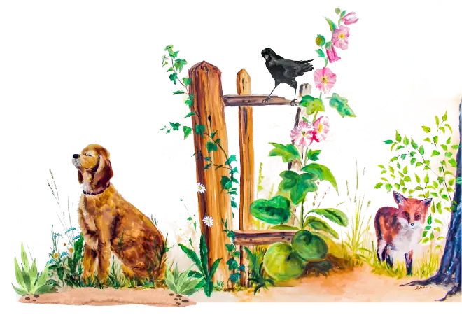 Zeichnung Hund, Fuchs, Zaun, Krähe