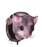 Maus