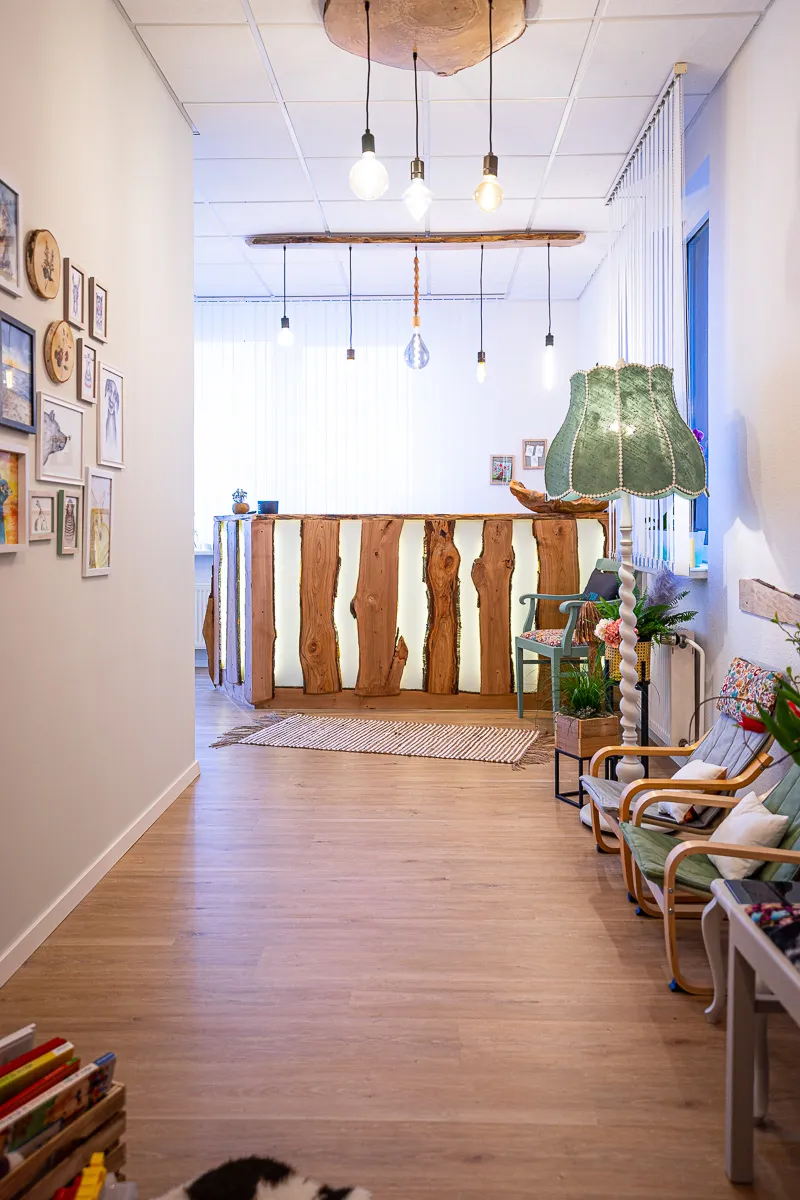 ergotherapie,wernigerode