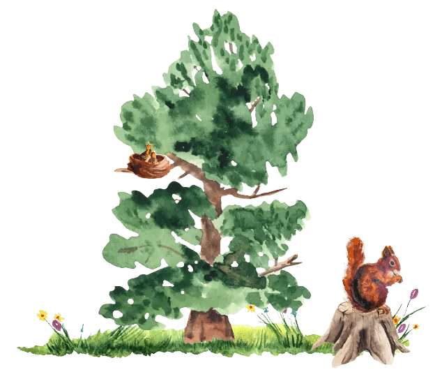 Zeichnung Baum und Eichhörnchen