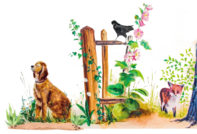 Zeichnung Hund, Fuchs, Zaun, Krähe